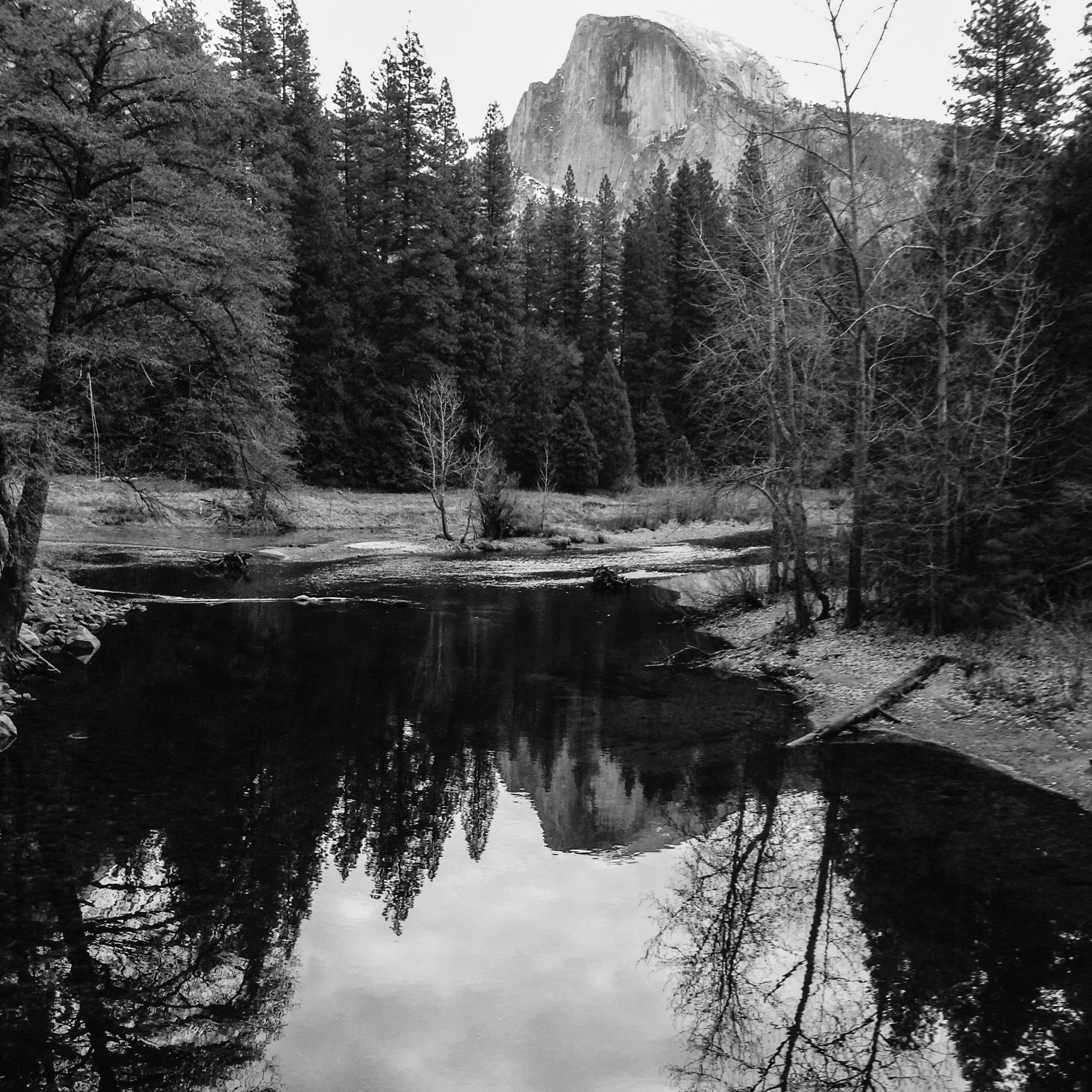 black and white yosemite 